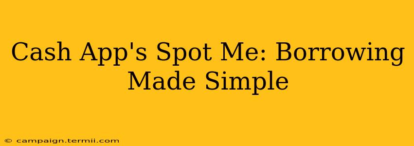 Cash App's Spot Me: Borrowing Made Simple