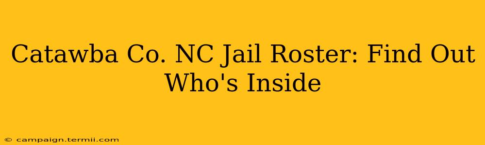 Catawba Co. NC Jail Roster: Find Out Who's Inside