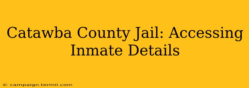 Catawba County Jail: Accessing Inmate Details