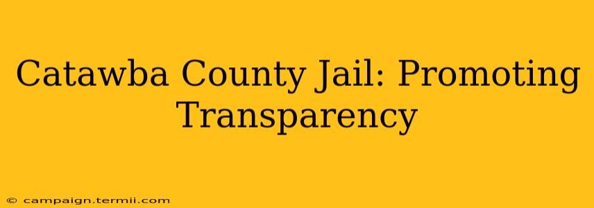 Catawba County Jail: Promoting Transparency