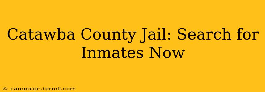 Catawba County Jail: Search for Inmates Now