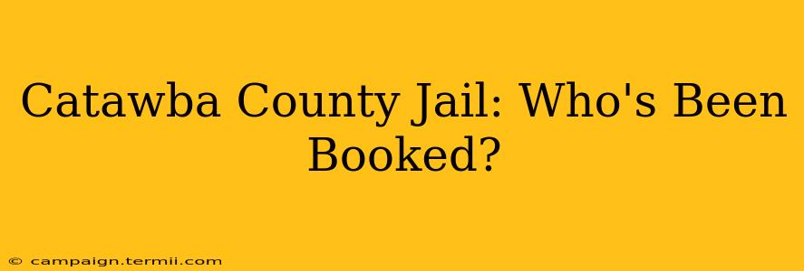 Catawba County Jail: Who's Been Booked?