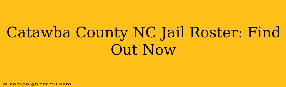 Catawba County NC Jail Roster: Find Out Now