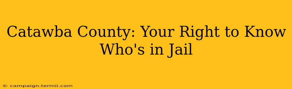 Catawba County: Your Right to Know Who's in Jail