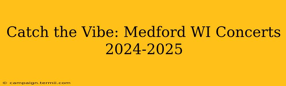 Catch the Vibe: Medford WI Concerts 2024-2025