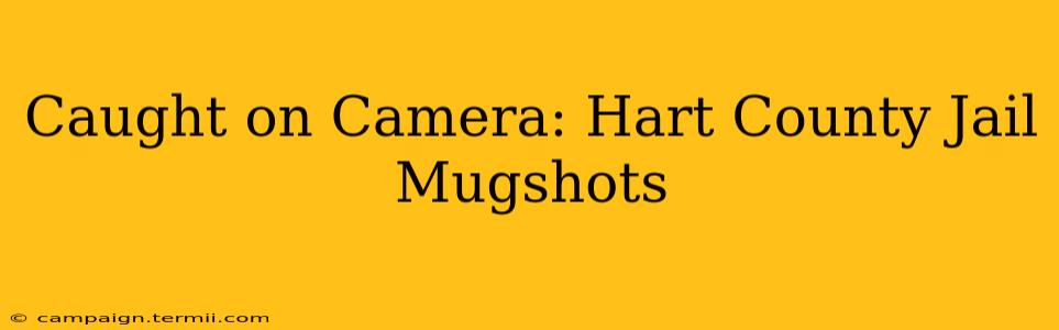 Caught on Camera: Hart County Jail Mugshots