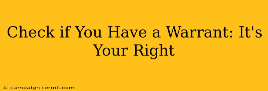 Check if You Have a Warrant: It's Your Right