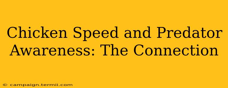 Chicken Speed and Predator Awareness: The Connection