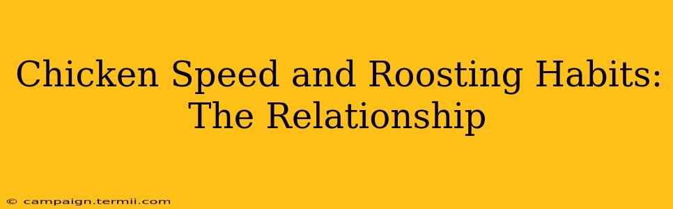 Chicken Speed and Roosting Habits: The Relationship