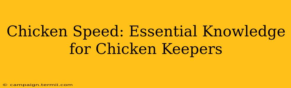 Chicken Speed: Essential Knowledge for Chicken Keepers