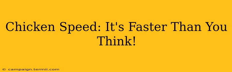 Chicken Speed: It's Faster Than You Think!