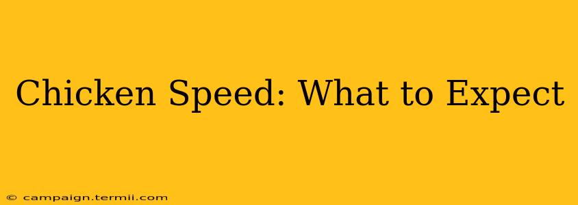 Chicken Speed: What to Expect