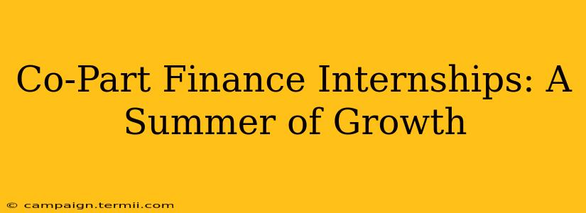 Co-Part Finance Internships: A Summer of Growth