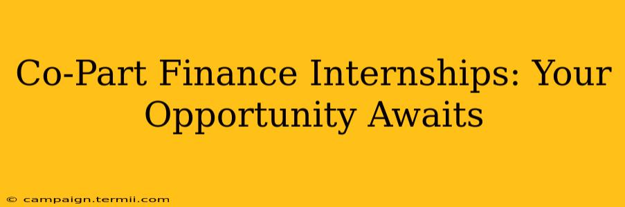 Co-Part Finance Internships: Your Opportunity Awaits