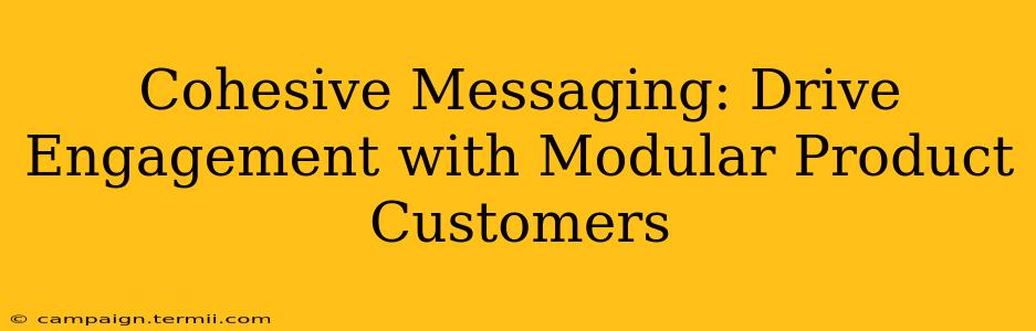 Cohesive Messaging: Drive Engagement with Modular Product Customers