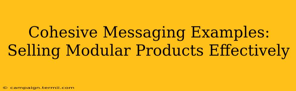 Cohesive Messaging Examples: Selling Modular Products Effectively