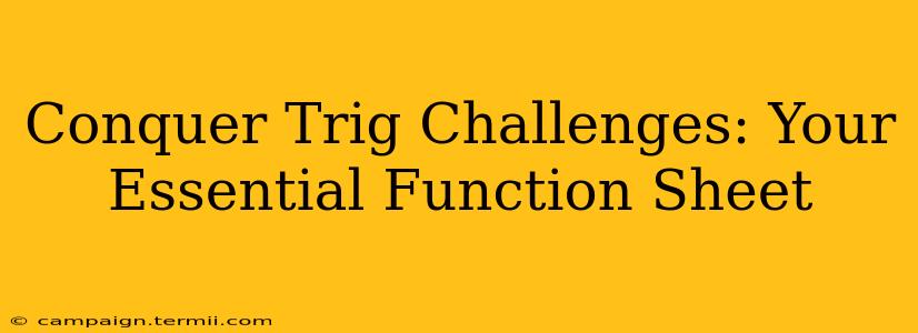 Conquer Trig Challenges: Your Essential Function Sheet