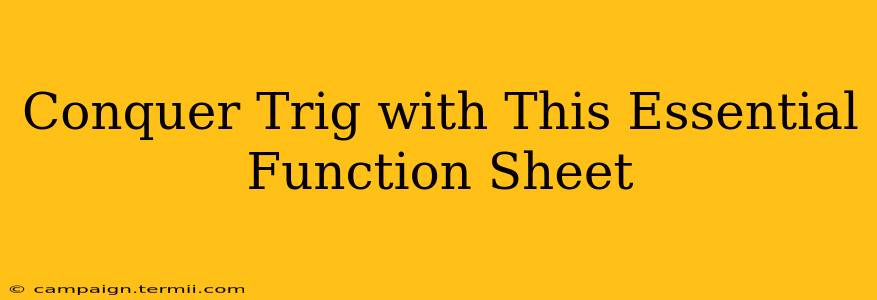 Conquer Trig with This Essential Function Sheet