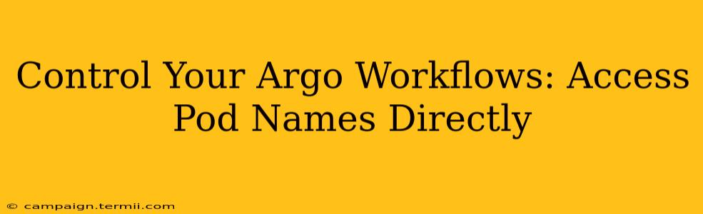 Control Your Argo Workflows: Access Pod Names Directly