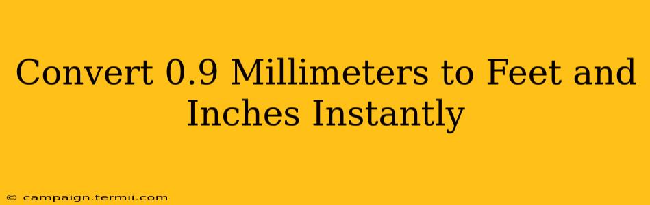 Convert 0.9 Millimeters to Feet and Inches Instantly