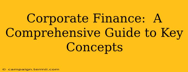 Corporate Finance:  A Comprehensive Guide to Key Concepts