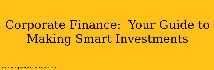 Corporate Finance:  Your Guide to Making Smart Investments