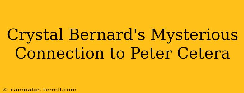 Crystal Bernard's Mysterious Connection to Peter Cetera