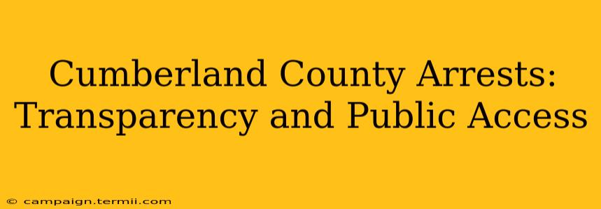 Cumberland County Arrests: Transparency and Public Access