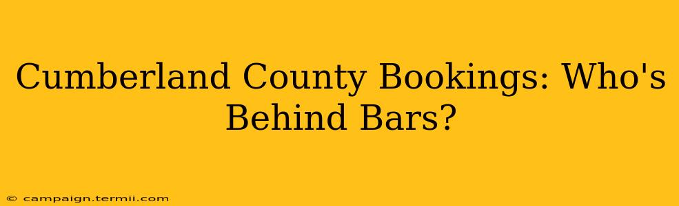 Cumberland County Bookings: Who's Behind Bars?