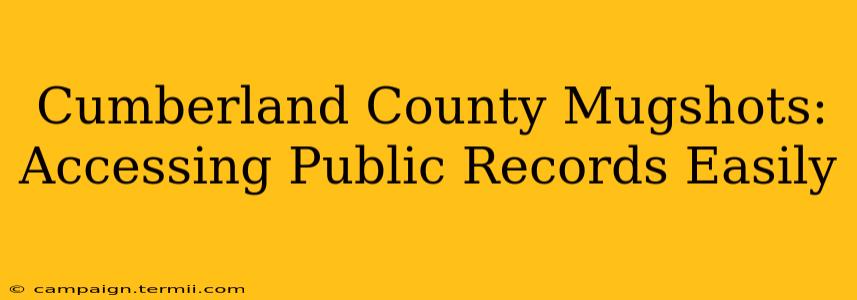 Cumberland County Mugshots: Accessing Public Records Easily