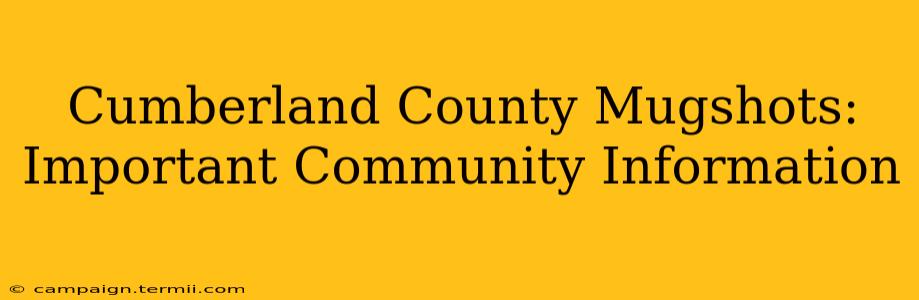 Cumberland County Mugshots: Important Community Information