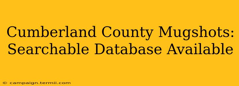 Cumberland County Mugshots: Searchable Database Available