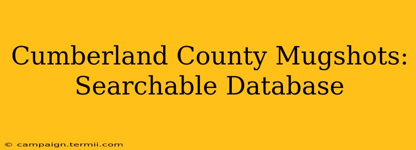 Cumberland County Mugshots: Searchable Database