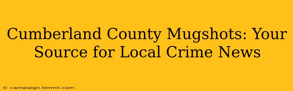 Cumberland County Mugshots: Your Source for Local Crime News