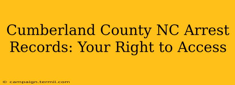 Cumberland County NC Arrest Records: Your Right to Access