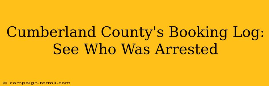 Cumberland County's Booking Log: See Who Was Arrested