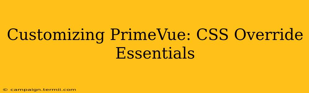 Customizing PrimeVue: CSS Override Essentials