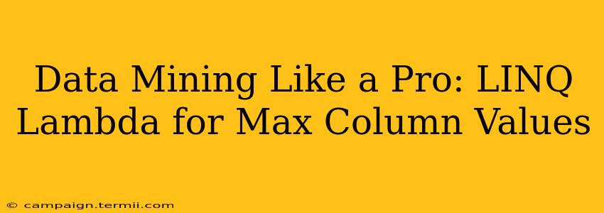 Data Mining Like a Pro: LINQ Lambda for Max Column Values