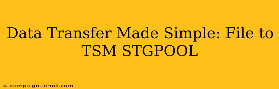 Data Transfer Made Simple: File to TSM STGPOOL