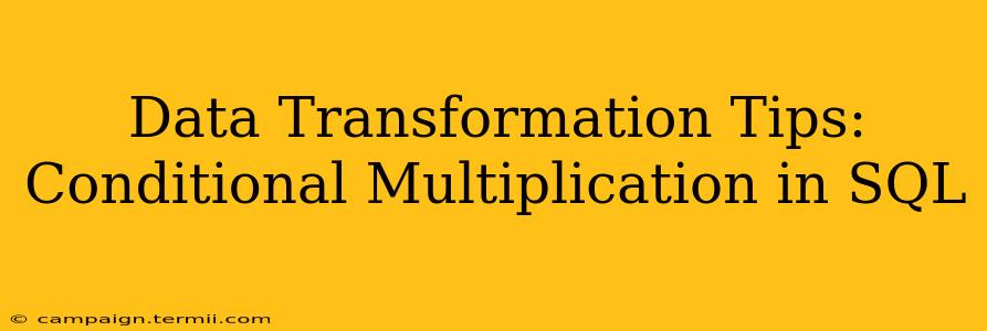 Data Transformation Tips: Conditional Multiplication in SQL