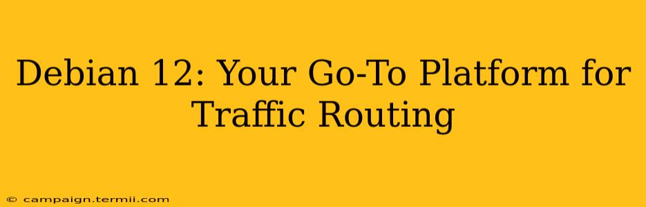 Debian 12: Your Go-To Platform for Traffic Routing