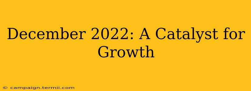 December 2022: A Catalyst for Growth