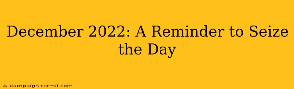 December 2022: A Reminder to Seize the Day