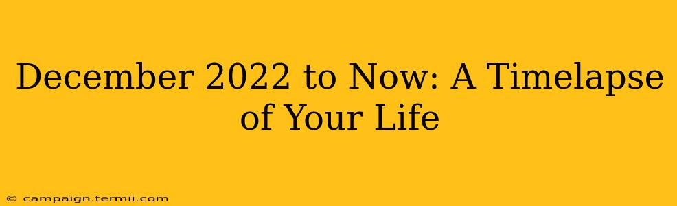 December 2022 to Now: A Timelapse of Your Life