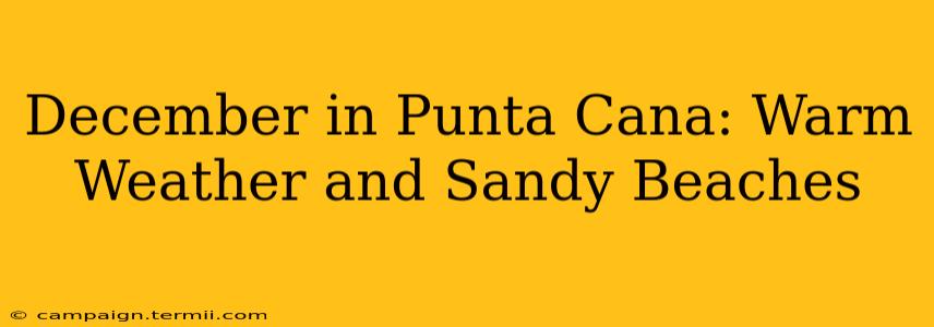 December in Punta Cana: Warm Weather and Sandy Beaches