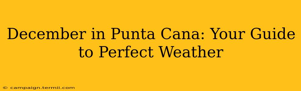 December in Punta Cana: Your Guide to Perfect Weather