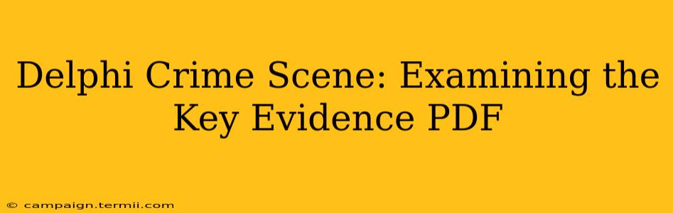 Delphi Crime Scene: Examining the Key Evidence PDF