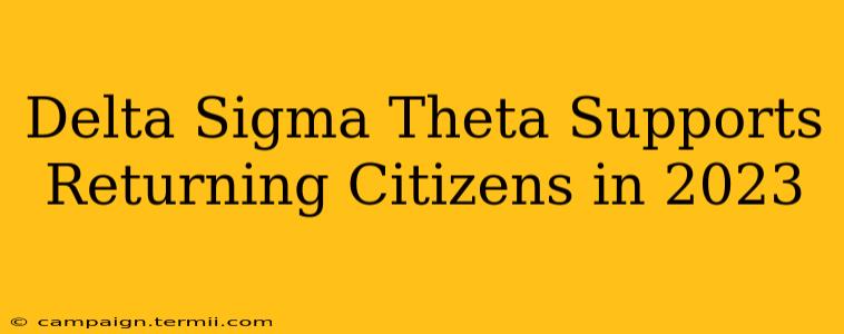 Delta Sigma Theta Supports Returning Citizens in 2023