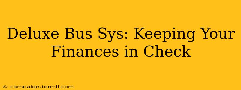 Deluxe Bus Sys: Keeping Your Finances in Check