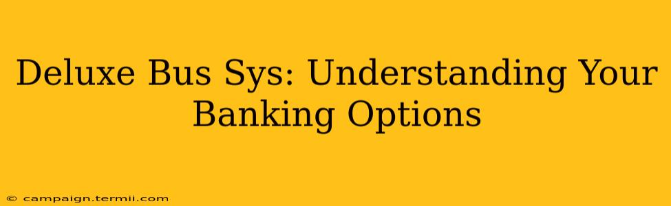 Deluxe Bus Sys: Understanding Your Banking Options